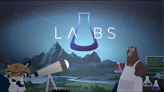 Salesforce Labs